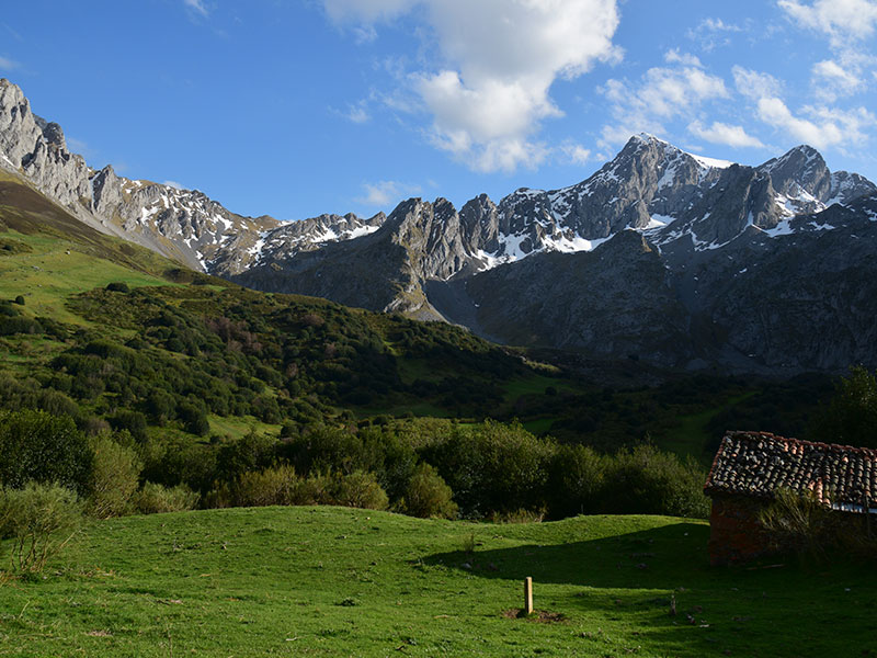 Arista Argaos